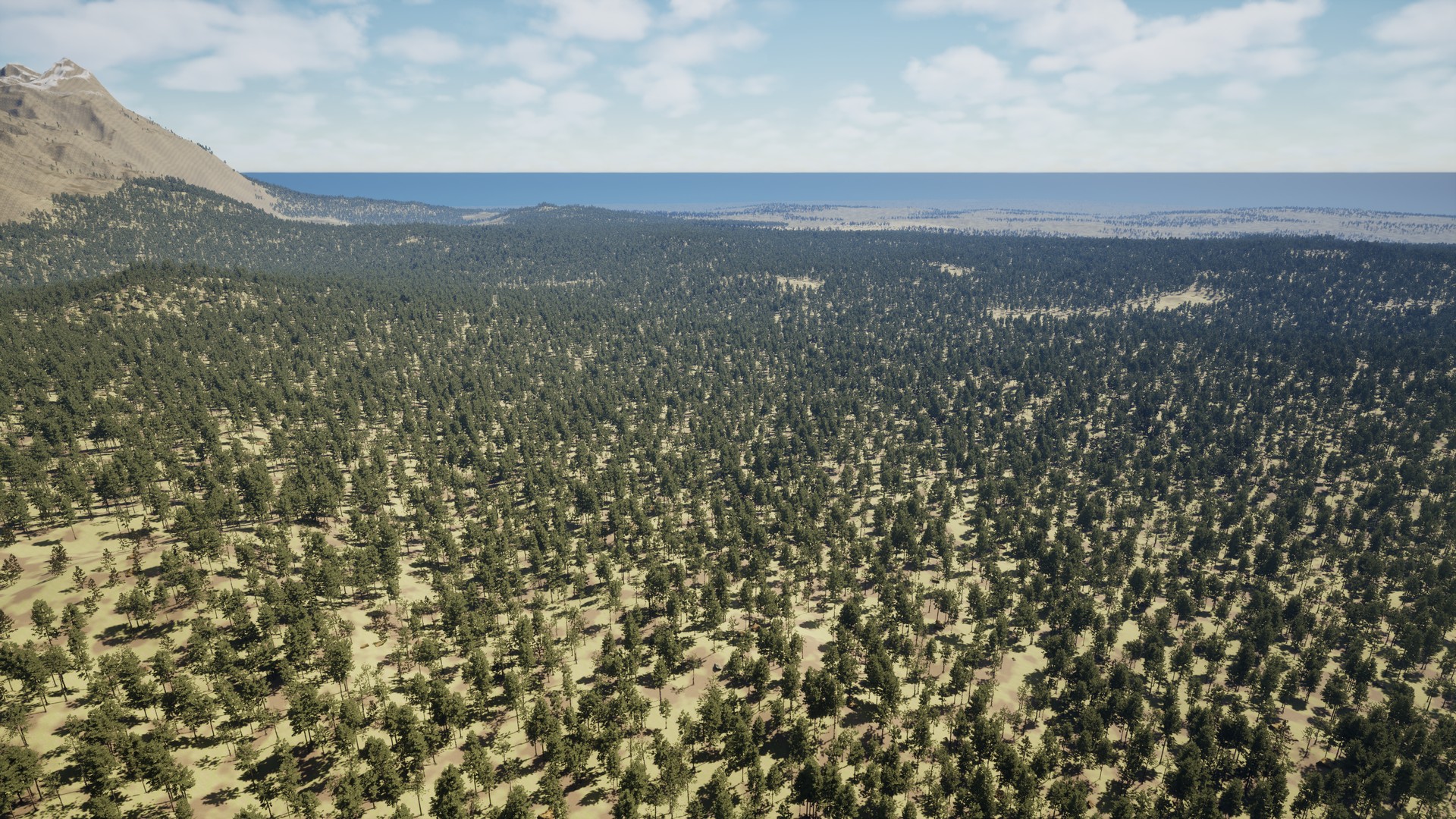 Het bos loopt door tot aan zee
